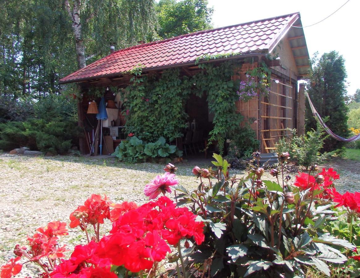 Pod Mazurskim Dachem * Gradzkie (Warmian-Masurian)