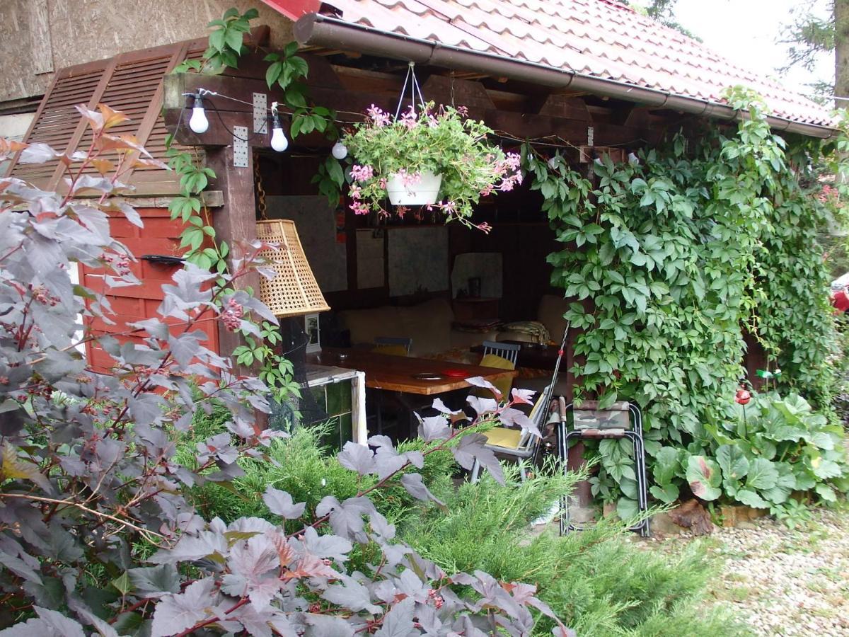 Pod Mazurskim Dachem Gradzkie (Warmian-Masurian)