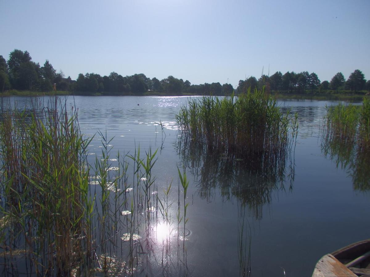 Pod Mazurskim Dachem * Gradzkie (Warmian-Masurian)
