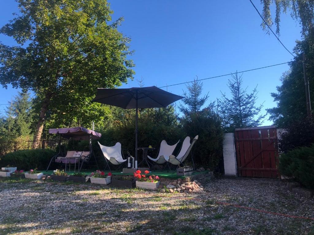 Pod Mazurskim Dachem * Gradzkie (Warmian-Masurian)