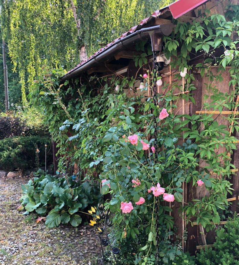 Pod Mazurskim Dachem Apartment Gradzkie (Warmian-Masurian)