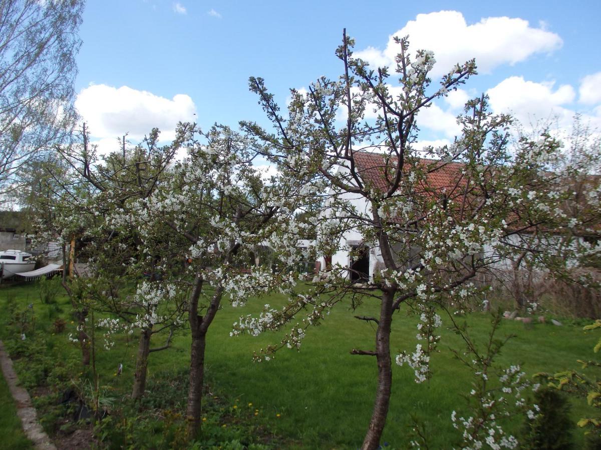 Pod Mazurskim Dachem Apartment Gradzkie (Warmian-Masurian)