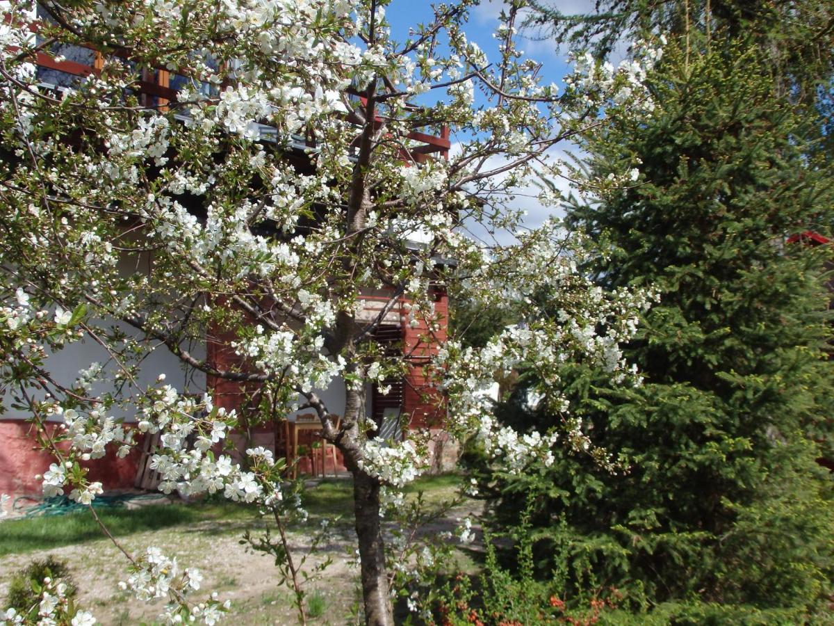 Pod Mazurskim Dachem * Gradzkie (Warmian-Masurian)
