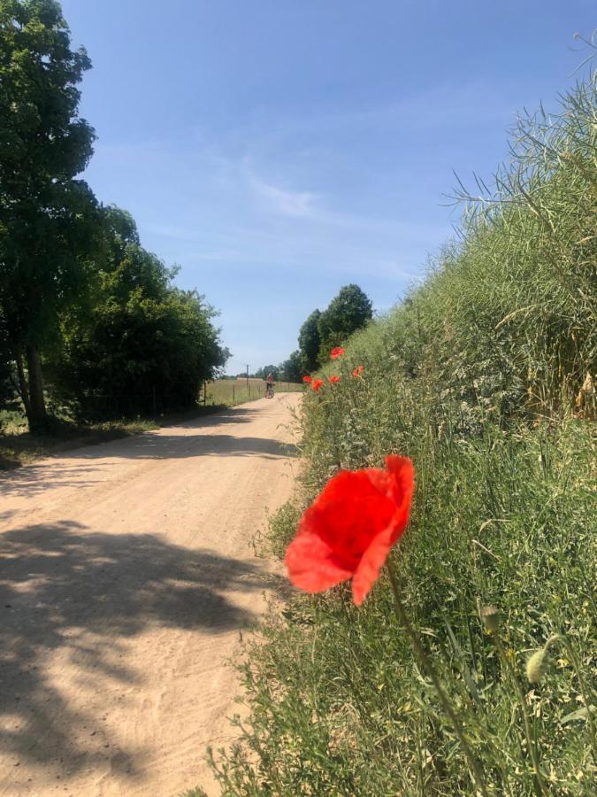 Pod Mazurskim Dachem Gradzkie (Warmian-Masurian)